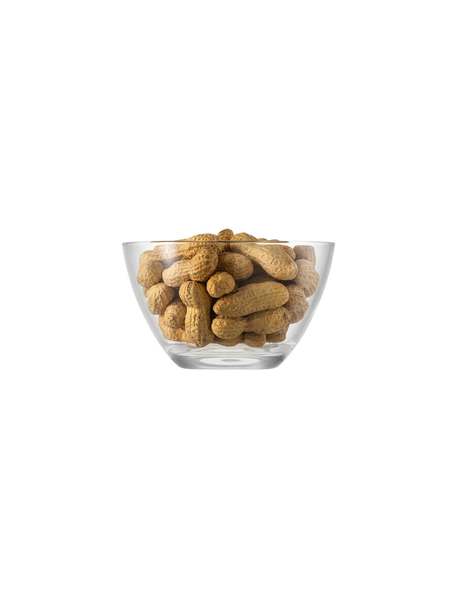 borgonovo-palladio-schale-70-cl-14-cm-sp-lmaschinenfest-made-in-italy image 1