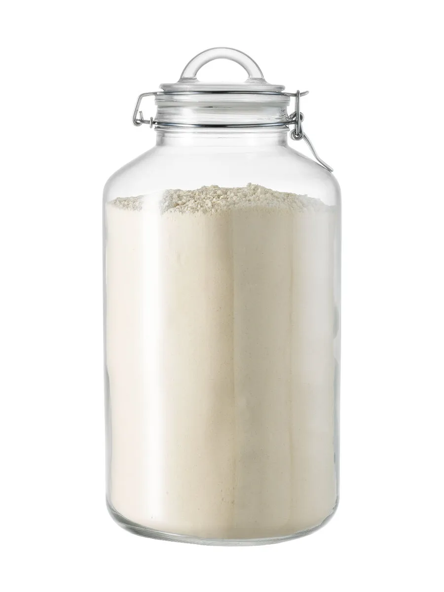 borgonovo-normal-vorratsglas-6000-ml-mit-b-gelverschluss image 1
