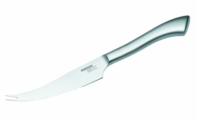 carl-mertens-taglio-5218-1060-tomatenmesser-250-mm image 1